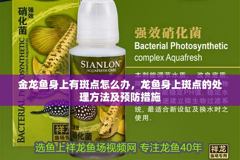 金龍魚身上有斑點(diǎn)怎么辦，龍魚身上斑點(diǎn)的處理方法及預(yù)防措施