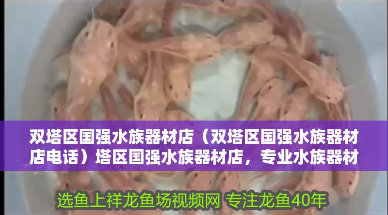 雙塔區國強水族器材店（雙塔區國強水族器材店電話）塔區國強水族器材店，專業水族器材供應商 雙塔區國強水族器材店（雙塔區國強水族器材店電話）塔區國強水族器材店，專業水族器材供應商 全國水族館企業名錄 第2張