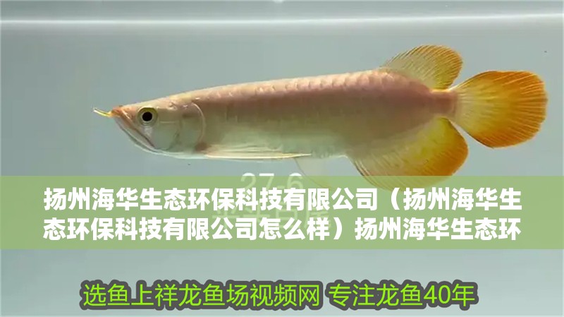揚州海華生態環保科技有限公司（揚州海華生態環保科技有限公司怎么樣）揚州海華生態環保科技有限公司，企業實力