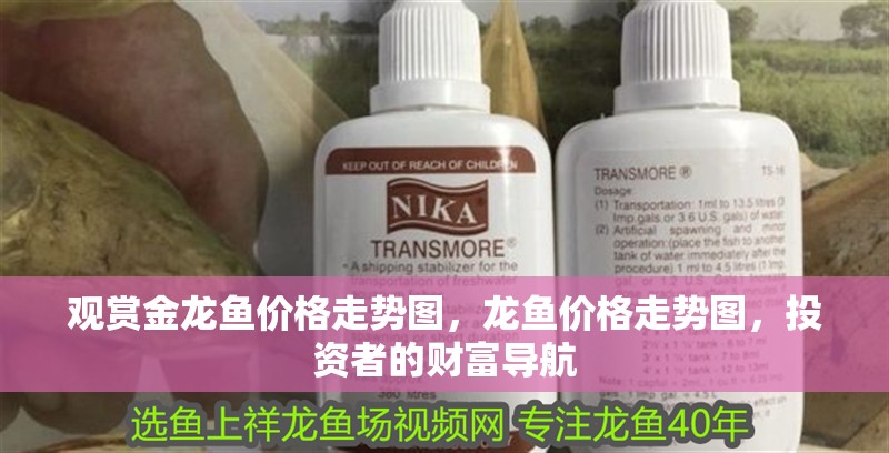 觀賞金龍魚價格走勢圖，龍魚價格走勢圖，投資者的財富導航 觀賞金龍魚價格走勢圖，龍魚價格走勢圖，投資者的財富導航 龍魚百科 第2張