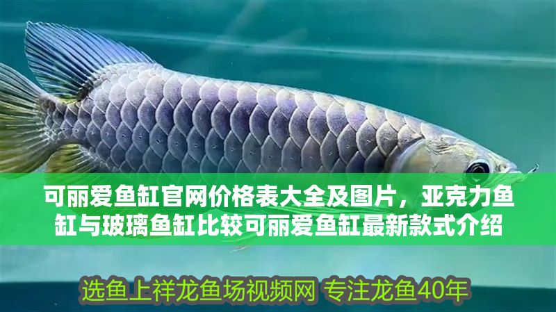 可麗愛魚缸官網(wǎng)價(jià)格表大全及圖片,亞克力魚缸與玻璃魚缸比較可麗愛魚缸最新款式介紹 魚缸百科 第2張 可麗愛魚缸官網(wǎng)價(jià)格表大全及圖片,亞克力魚缸與玻璃魚缸比較可麗愛魚缸最新款式介紹 可麗愛魚缸官網(wǎng)價(jià)格表大全及圖片,亞克力魚缸與玻璃魚缸比較可麗愛魚缸最新款式介紹 魚缸百科 第2張