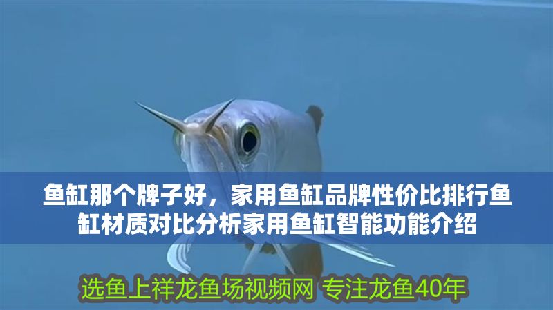 魚缸那個牌子好，家用魚缸品牌性價比排行魚缸材質對比分析家用魚缸智能功能介紹