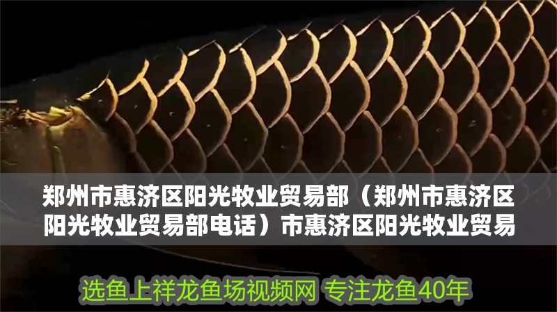 鄭州市惠濟(jì)區(qū)陽光牧業(yè)貿(mào)易部（鄭州市惠濟(jì)區(qū)陽光牧業(yè)貿(mào)易部電話）市惠濟(jì)區(qū)陽光牧業(yè)貿(mào)易部聯(lián)系方式