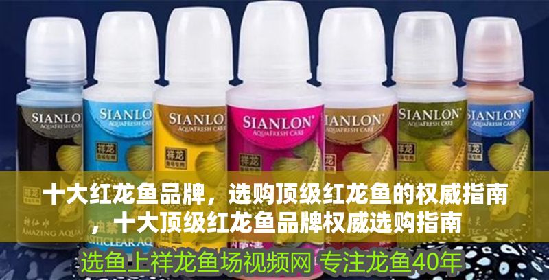 十大紅龍魚品牌，選購頂級紅龍魚的權威指南，十大頂級紅龍魚品牌權威選購指南