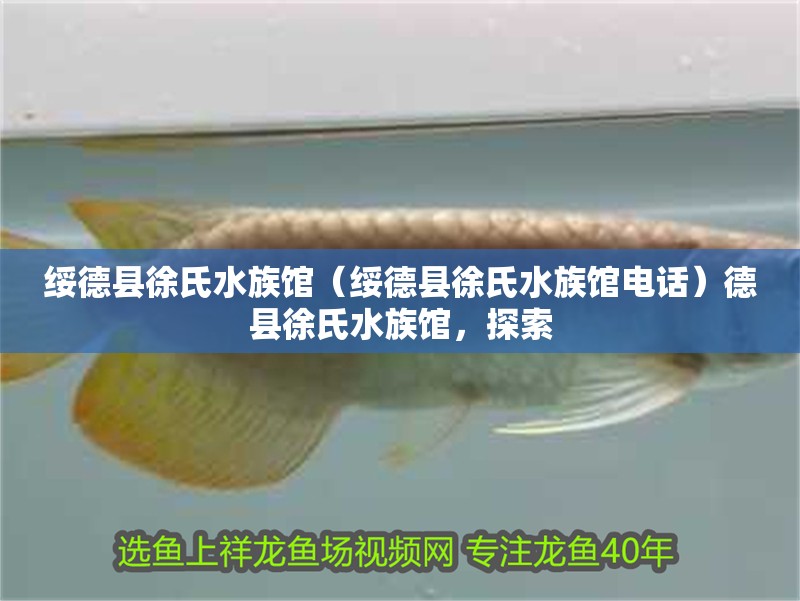 綏德縣徐氏水族館（綏德縣徐氏水族館電話）德縣徐氏水族館，探索