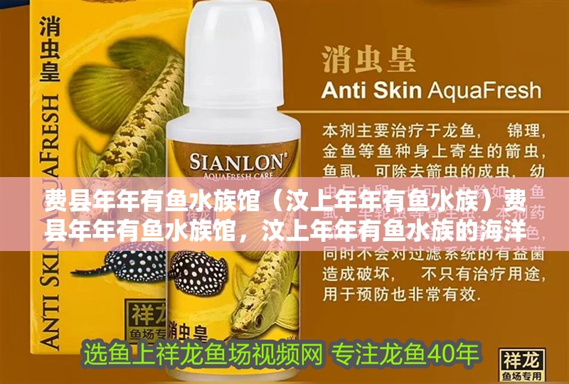 費(fèi)縣年年有魚水族館（汶上年年有魚水族）費(fèi)縣年年有魚水族館，汶上年年有魚水族的海洋