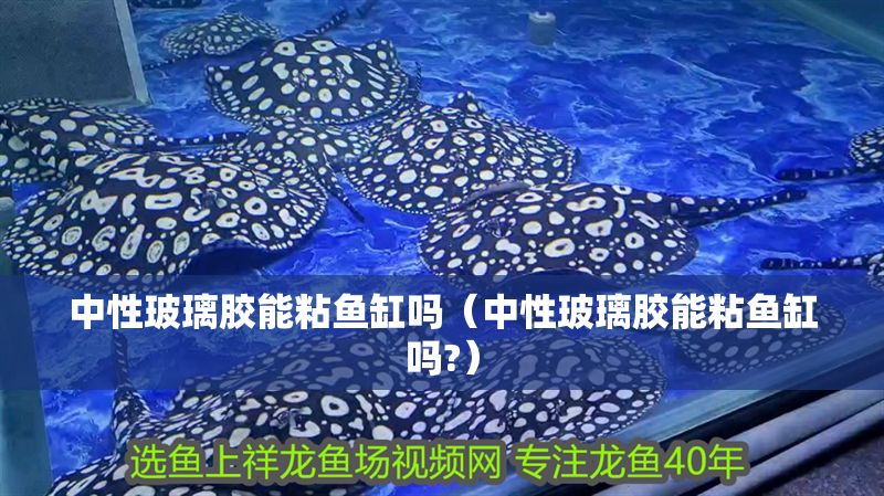 中性玻璃膠能粘魚缸嗎（中性玻璃膠能粘魚缸嗎?）
