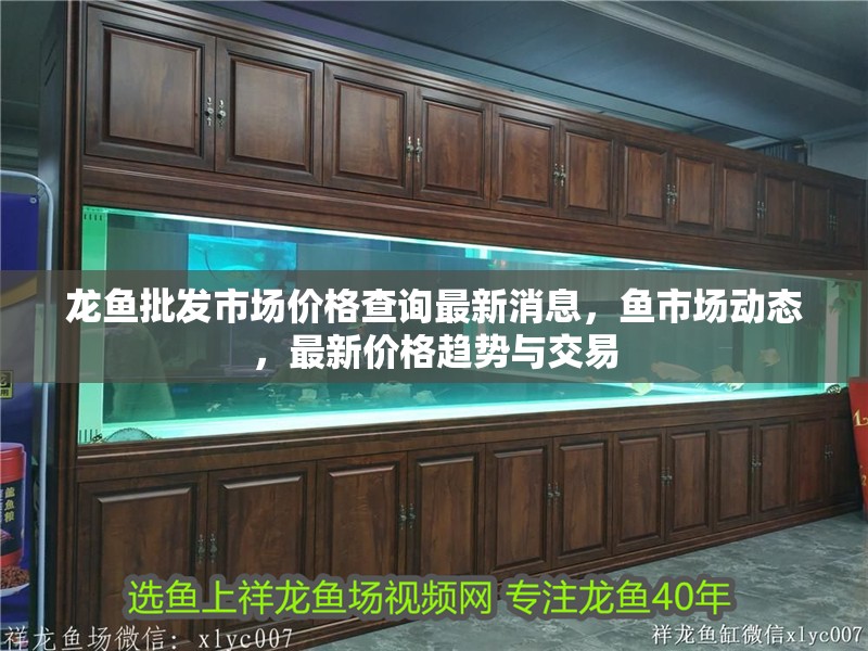 龍魚批發市場價格查詢最新消息，魚市場動態，最新價格趨勢與交易