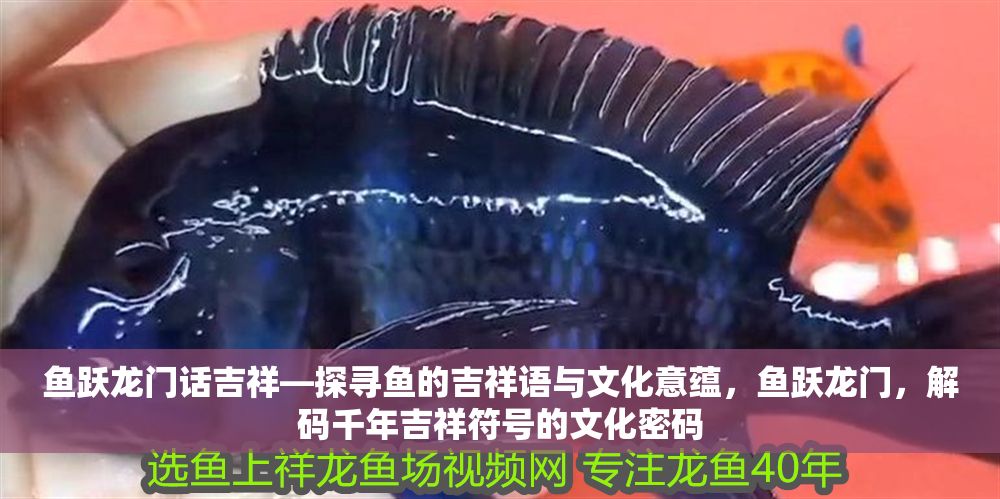 魚躍龍門話吉祥—探尋魚的吉祥語與文化意蘊，魚躍龍門，解碼千年吉祥符號的文化密碼