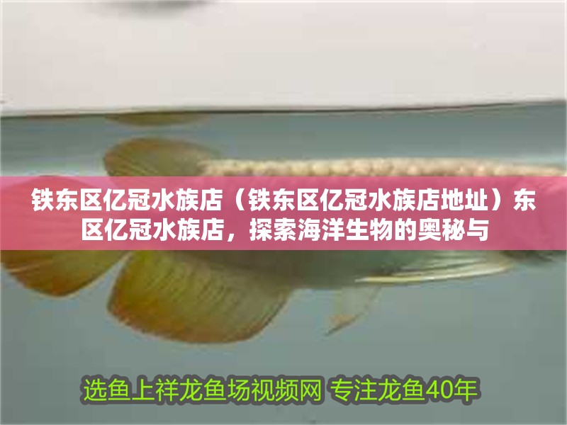 鐵東區億冠水族店（鐵東區億冠水族店地址）東區億冠水族店，探索海洋生物的奧秘與 鐵東區億冠水族店（鐵東區億冠水族店地址）東區億冠水族店，探索海洋生物的奧秘與 全國水族館企業名錄 第2張