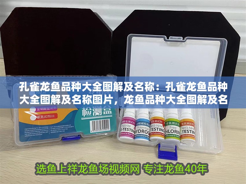 孔雀龍魚品種大全圖解及名稱：孔雀龍魚品種大全圖解及名稱圖片，龍魚品種大全圖解及名稱詳解 孔雀龍魚品種大全圖解及名稱：孔雀龍魚品種大全圖解及名稱圖片，龍魚品種大全圖解及名稱詳解 水族問答