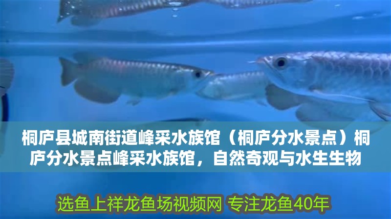 桐廬縣城南街道峰采水族館(桐廬分水景點)桐廬分水景點峰采水族館,自然奇觀與水生生物的奧秘 全國水族館企業(yè)名錄 第2張 桐廬縣城南街道峰采水族館(桐廬分水景點)桐廬分水景點峰采水族館,自然奇觀與水生生物的奧秘 桐廬縣城南街道峰采水族館(桐廬分水景點)桐廬分水景點峰采水族館,自然奇觀與水生生物的奧秘 全國水族館企業(yè)名錄 第2張