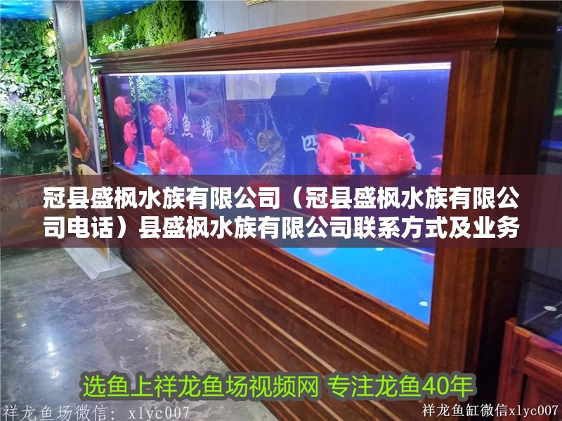 冠縣盛楓水族有限公司（冠縣盛楓水族有限公司電話）縣盛楓水族有限公司聯(lián)系方式及業(yè)務(wù)