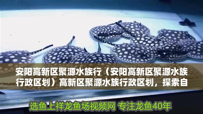 安陽高新區聚源水族行（安陽高新區聚源水族行政區劃）高新區聚源水族行政區劃，探索自然生態與城市
