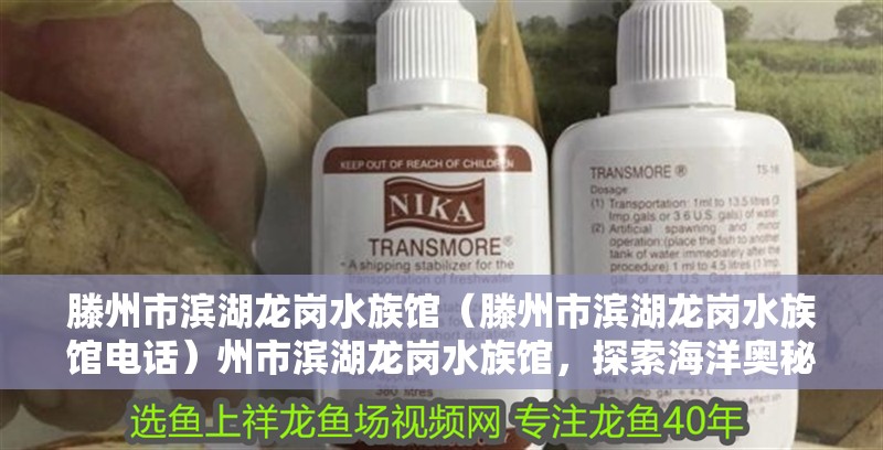 滕州市濱湖龍崗水族館（滕州市濱湖龍崗水族館電話）州市濱湖龍崗水族館，探索海洋奧秘的絕 滕州市濱湖龍崗水族館（滕州市濱湖龍崗水族館電話）州市濱湖龍崗水族館，探索海洋奧秘的絕 全國水族館企業(yè)名錄 第2張