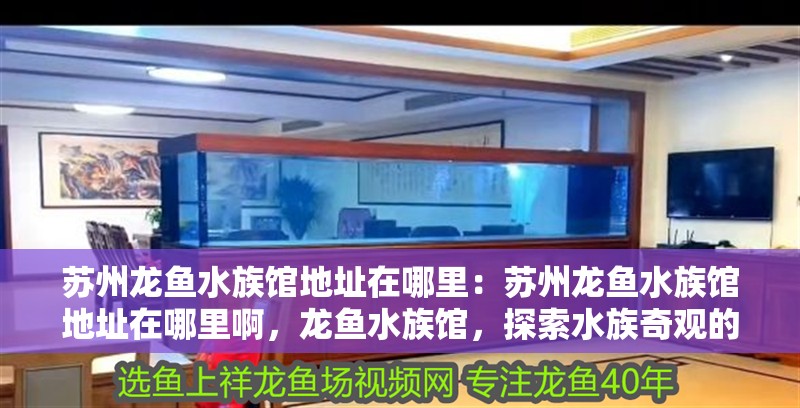 搬家魚缸水怎么辦：搬家時魚缸水的處理，必知，魚缸水的正確處理與儲存