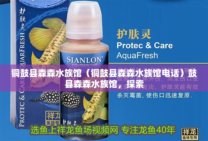 銅鼓縣森森水族館（銅鼓縣森森水族館電話）鼓縣森森水族館，探索