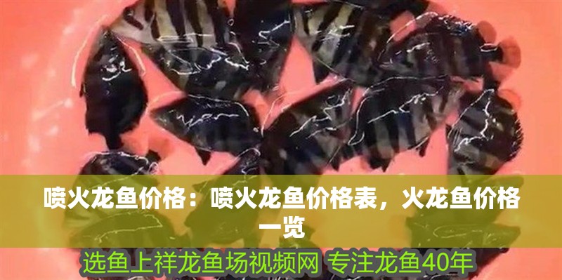 噴火龍魚價格：噴火龍魚價格表，火龍魚價格一覽 噴火龍魚價格：噴火龍魚價格表，火龍魚價格一覽 水族問答
