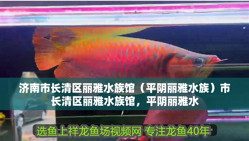濟南市長清區麗雅水族館(平陰麗雅水族)市長清區麗雅水族館,平陰麗雅水 全國水族館企業名錄 第2張 濟南市長清區麗雅水族館(平陰麗雅水族)市長清區麗雅水族館,平陰麗雅水 濟南市長清區麗雅水族館(平陰麗雅水族)市長清區麗雅水族館,平陰麗雅水 全國水族館企業名錄 第2張