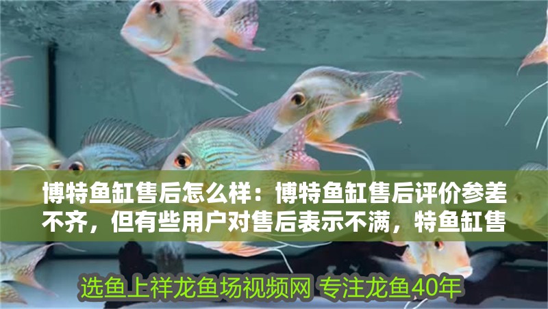 博特魚(yú)缸售后怎么樣：博特魚(yú)缸售后評(píng)價(jià)參差不齊，但有些用戶(hù)對(duì)售后表示不滿(mǎn)，特魚(yú)缸售后評(píng)價(jià)不一，部分用戶(hù)不滿(mǎn)