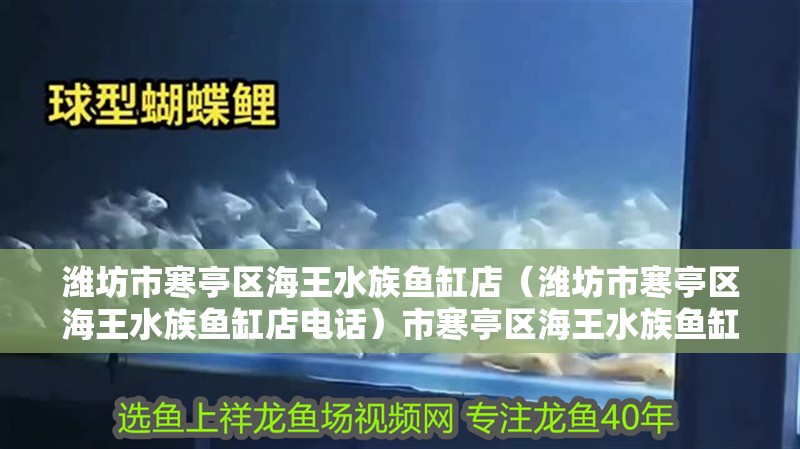 濰坊市寒亭區海王水族魚缸店（濰坊市寒亭區海王水族魚缸店電話）市寒亭區海王水族魚缸店聯系方式及地址信息