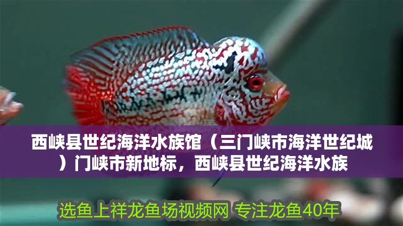 西峽縣世紀(jì)海洋水族館（三門(mén)峽市海洋世紀(jì)城）門(mén)峽市新地標(biāo)，西峽縣世紀(jì)海洋水族