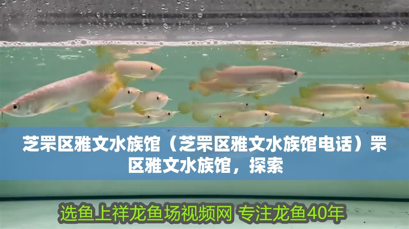 芝罘區雅文水族館（芝罘區雅文水族館電話）罘區雅文水族館，探索