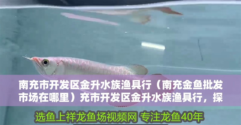 南充市開發區金升水族漁具行（南充金魚批發市場在哪里）充市開發區金升水族漁具行，探索南充市金魚批發市場的奧秘 南充市開發區金升水族漁具行（南充金魚批發市場在哪里）充市開發區金升水族漁具行，探索南充市金魚批發市場的奧秘 全國水族館企業名錄 第2張