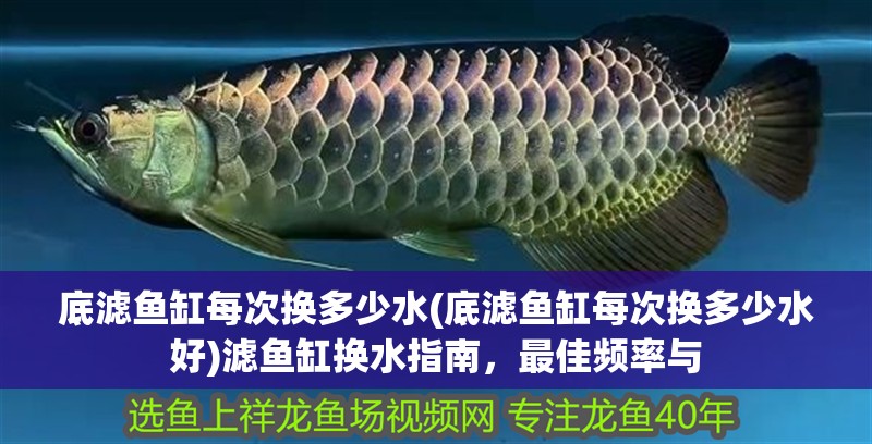 底濾魚缸每次換多少水(底濾魚缸每次換多少水好)濾魚缸換水指南，最佳頻率與 底濾魚缸每次換多少水(底濾魚缸每次換多少水好)濾魚缸換水指南，最佳頻率與 銀龍魚百科
