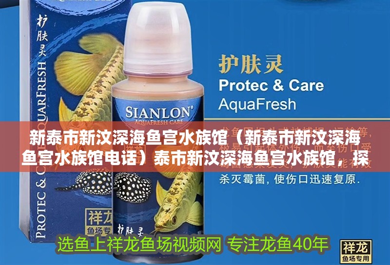 新泰市新汶深海魚宮水族館（新泰市新汶深海魚宮水族館電話）泰市新汶深海魚宮水族館，探索海底奇 新泰市新汶深海魚宮水族館（新泰市新汶深海魚宮水族館電話）泰市新汶深海魚宮水族館，探索海底奇 全國(guó)水族館企業(yè)名錄 第2張