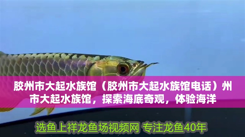 膠州市大起水族館（膠州市大起水族館電話）州市大起水族館，探索海底奇觀，體驗海洋
