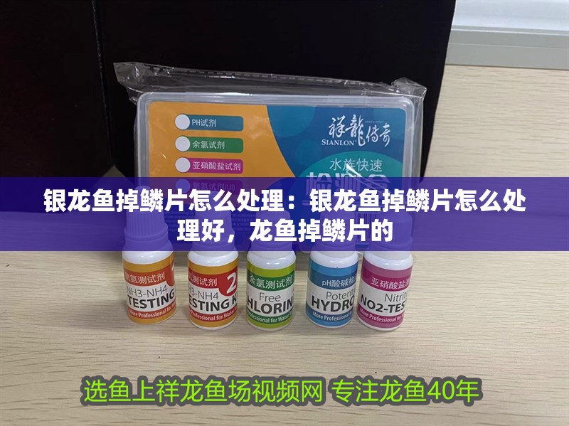 銀龍魚掉鱗片怎么處理：銀龍魚掉鱗片怎么處理好，龍魚掉鱗片的 銀龍魚掉鱗片怎么處理：銀龍魚掉鱗片怎么處理好，龍魚掉鱗片的 水族問答