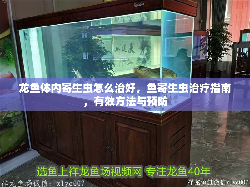 龍魚體內(nèi)寄生蟲怎么治好，魚寄生蟲治療指南，有效方法與預防