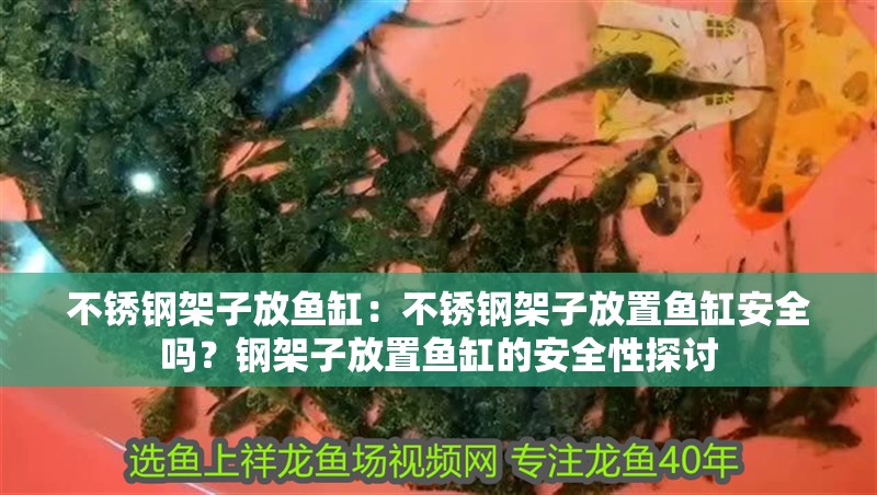 不銹鋼架子放魚缸：不銹鋼架子放置魚缸安全嗎？鋼架子放置魚缸的安全性探討