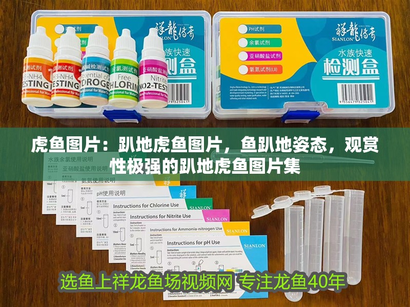 虎魚圖片：趴地虎魚圖片，魚趴地姿態，觀賞性極強的趴地虎魚圖片集