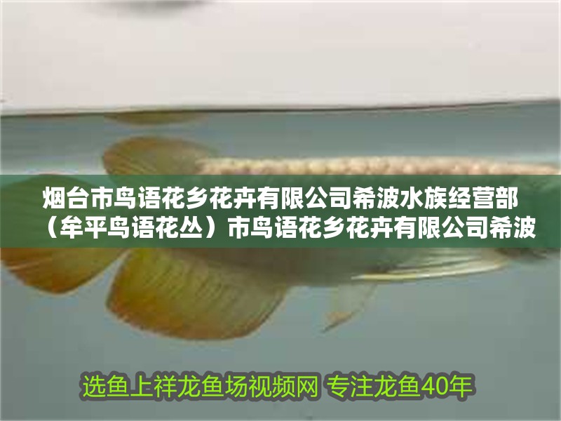 煙臺市鳥語花鄉花卉有限公司希波水族經營部（牟平鳥語花叢）市鳥語花鄉花卉有限公司希波水族經營部盛大開業，引領牟平鳥