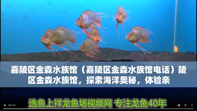嘉陵區(qū)金森水族館（嘉陵區(qū)金森水族館電話）陵區(qū)金森水族館，探索海洋奧秘，體驗(yàn)親