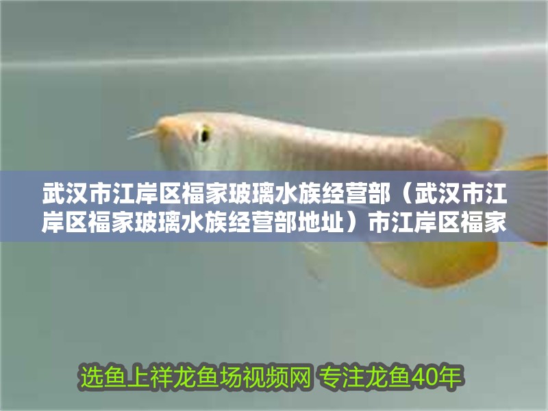 武漢市江岸區福家玻璃水族經營部（武漢市江岸區福家玻璃水族經營部地址）市江岸區福家玻璃水族經營部，專業水族 武漢市江岸區福家玻璃水族經營部（武漢市江岸區福家玻璃水族經營部地址）市江岸區福家玻璃水族經營部，專業水族 全國水族館企業名錄 第4張