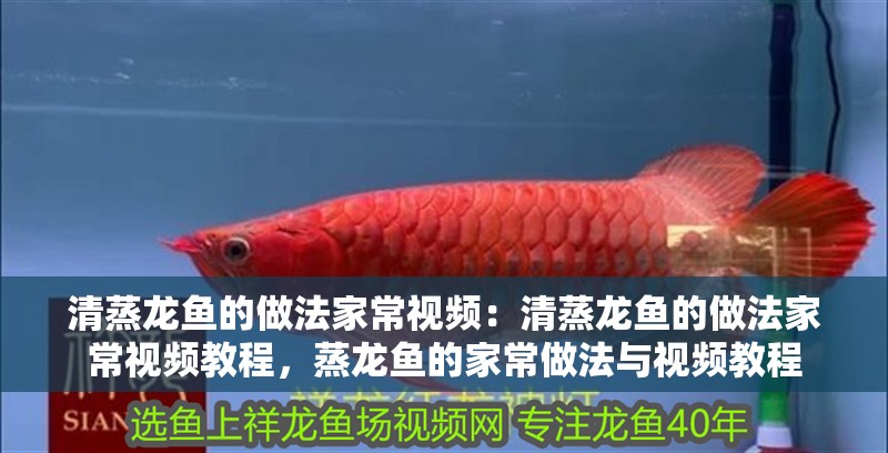 清蒸龍魚的做法家常視頻：清蒸龍魚的做法家常視頻教程，蒸龍魚的家常做法與視頻教程