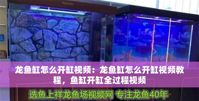 龍魚缸怎么開缸視頻：龍魚缸怎么開缸視頻教程，魚缸開缸全過程視頻