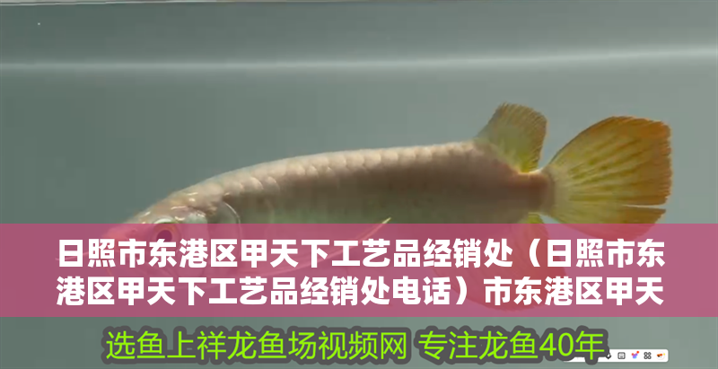 日照市東港區(qū)甲天下工藝品經(jīng)銷處(日照市東港區(qū)甲天下工藝品經(jīng)銷處電話)市東港區(qū)甲天下工藝品經(jīng)銷處 全國水族館企業(yè)名錄 第2張 日照市東港區(qū)甲天下工藝品經(jīng)銷處(日照市東港區(qū)甲天下工藝品經(jīng)銷處電話)市東港區(qū)甲天下工藝品經(jīng)銷處 日照市東港區(qū)甲天下工藝品經(jīng)銷處(日照市東港區(qū)甲天下工藝品經(jīng)銷處電話)市東港區(qū)甲天下工藝品經(jīng)銷處 全國水族館企業(yè)名錄 第2張