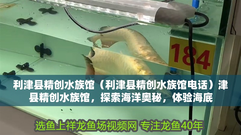 利津縣精創(chuàng)水族館（利津縣精創(chuàng)水族館電話）津縣精創(chuàng)水族館，探索海洋奧秘，體驗海底