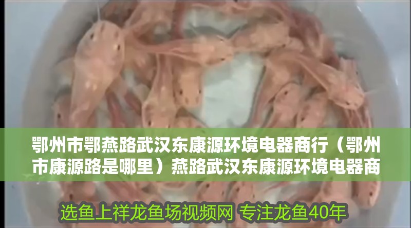 鄂州市鄂燕路武漢東康源環境電器商行（鄂州市康源路是哪里）燕路武漢東康源環境電器商行，鄂州市康源路的探索與發現
