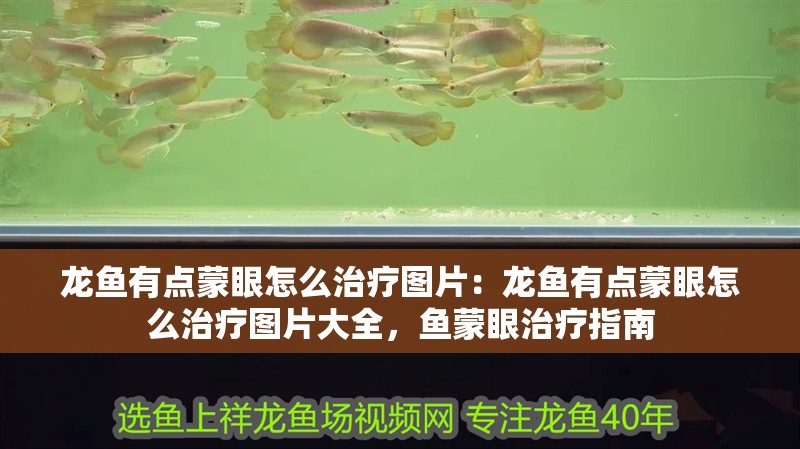 龍魚有點蒙眼怎么治療圖片：龍魚有點蒙眼怎么治療圖片大全，魚蒙眼治療指南