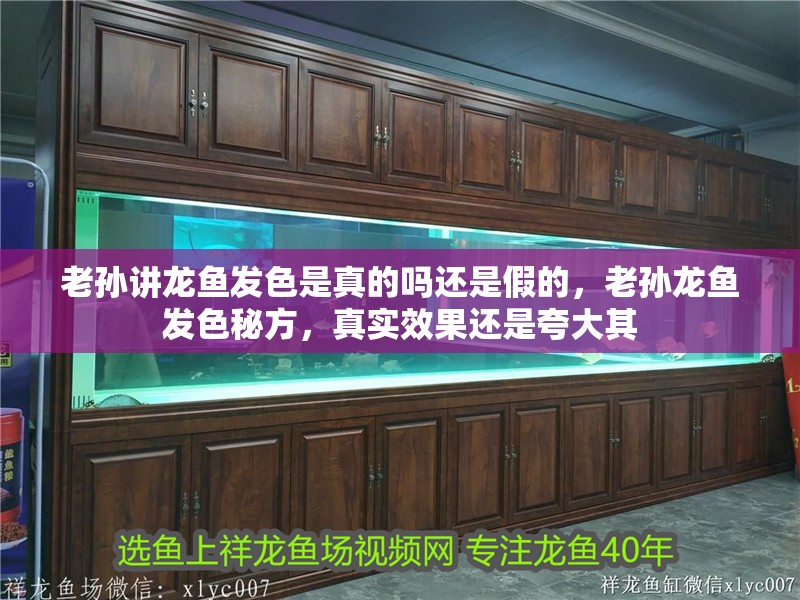 老孫講龍魚發色是真的嗎還是假的，老孫龍魚發色秘方，真實效果還是夸大其