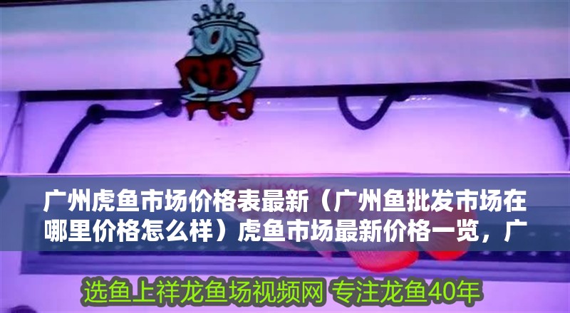 廣州虎魚市場(chǎng)價(jià)格表最新（廣州魚批發(fā)市場(chǎng)在哪里價(jià)格怎么樣）虎魚市場(chǎng)最新價(jià)格一覽，廣州魚