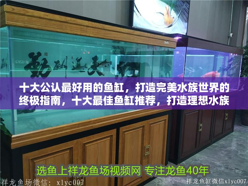 十大公認(rèn)最好用的魚(yú)缸，打造完美水族世界的終極指南，十大最佳魚(yú)缸推薦，打造理想水族世界的終極指南 十大公認(rèn)最好用的魚(yú)缸，打造完美水族世界的終極指南，十大最佳魚(yú)缸推薦，打造理想水族世界的終極指南 龍魚(yú)百科 第1張