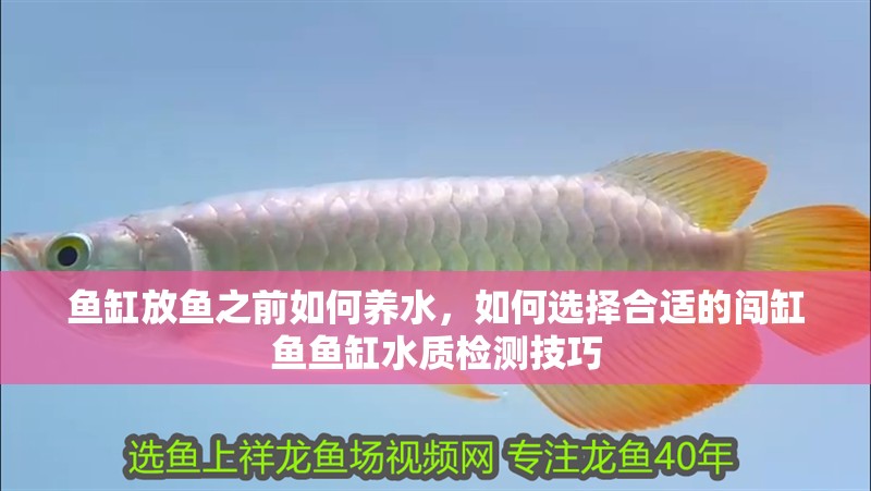 魚缸放魚之前如何養(yǎng)水，如何選擇合適的闖缸魚魚缸水質(zhì)檢測技巧