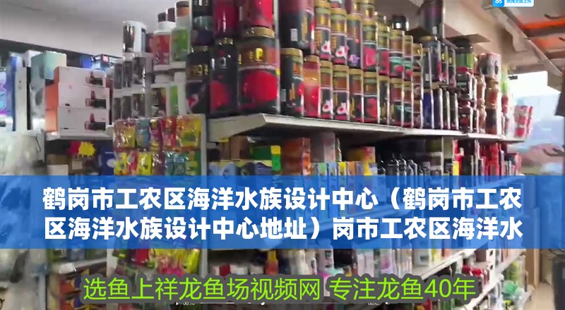 鶴崗市工農區海洋水族設計中心（鶴崗市工農區海洋水族設計中心地址）崗市工農區海洋水族設計中心，探索自然之美 鶴崗市工農區海洋水族設計中心（鶴崗市工農區海洋水族設計中心地址）崗市工農區海洋水族設計中心，探索自然之美 全國水族館企業名錄 第2張