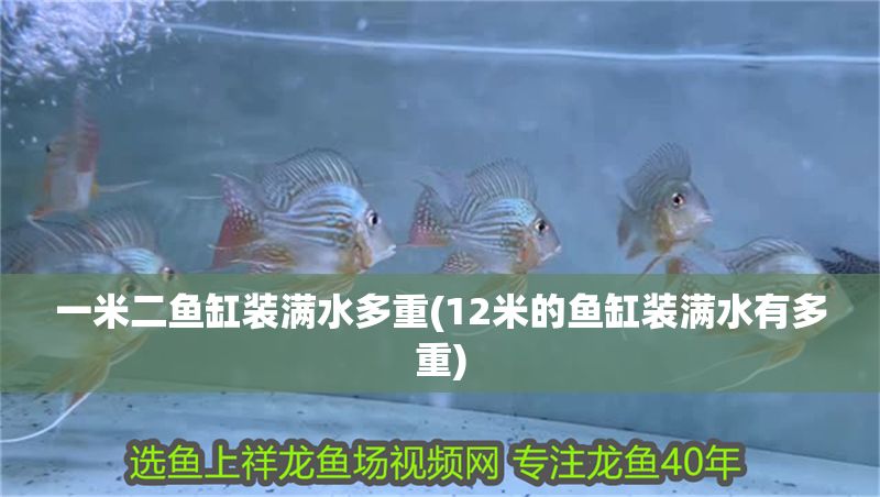 一米二魚缸裝滿水多重(12米的魚缸裝滿水有多重)